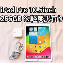 iPad Pro 10.5inch 256GB アイパッドプロ 本体 Wi-Fi