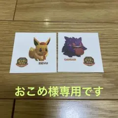 おこめ様専用です