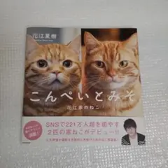 こんぺいとみそ 花江家のねこ