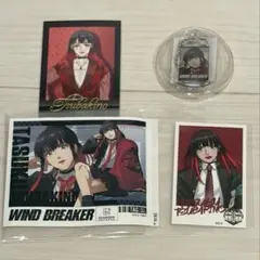 WIND BREAKER ウィンブレ 椿野佑