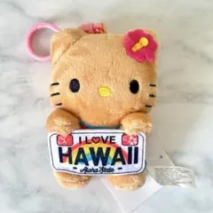 日焼けキティ ヒョウ柄 ナンバープレート ハローキティ HELLO KITTY サンリオ 日焼け キティ ナンバープレートマグネット ブルー Sanrio