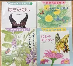 絵本　 春　虫たち　自然・昆虫テーマ　かがくのとも
