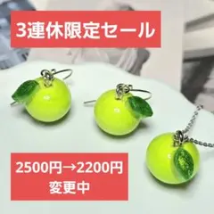 【3連休限定】 2500円 → 2200円に変更中☆