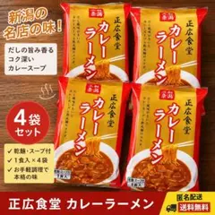 正広食堂 カレーラーメン 4食セット　新潟5大ラーメン　ケンミンSHOWでも紹介のサムネイル