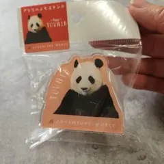 Item thumbnail for item 6500d97d-a380-43cb-81c6-1254eeeb8a37