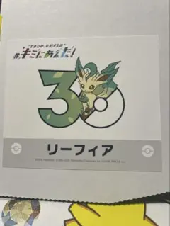 ポケモンセンターオンライン キミにあえた！ ステッカー リーフィア キミにあえた！ ステッカー リーフィア ポケモンセンターオンライン