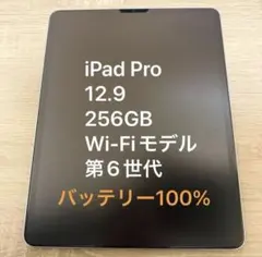 iPad Pro 第6世代 12.9 256GB Wi-Fiモデル おまけ有り