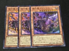 遊戯王　灰滅　シークレット　デッキパーツ　フルコン　高レア　ヴェイドス　滅亡龍 Amazon.co.jp: 灰滅デッキ 滅亡龍 ヴェイドス 灰滅せし都の王 灰滅せし