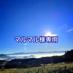 マルマル様専用‼️天然わらび 1.5kg以上