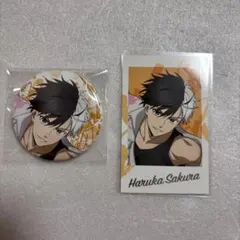 WIND BREAKER ウィンブレ AGF 桜 フォト風カード 缶バッジ