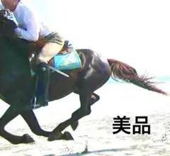 Item thumbnail for item 7b33ca81-7acd-4400-97fd-1cc0b7d5ba9f