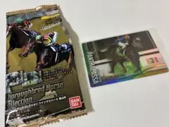 サラブレッドホースコレクション パンサラッサ カードのサムネイル