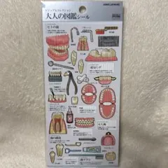 大人の図鑑シール 歯 編