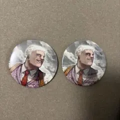 ヒロアカ 缶バッジ 2個セット