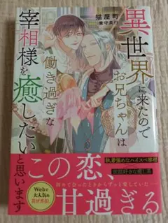 異世界に来たのでお兄ちゃんは働き過ぎな宰相様を癒したいと思います
