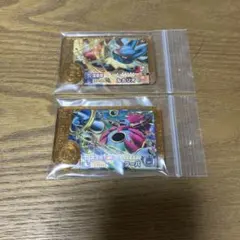 ポケモンフレンダレガシーフーパ、ルカリオ新品未使用品
