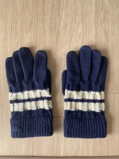LACOSTE ネイビー 手袋　メンズ