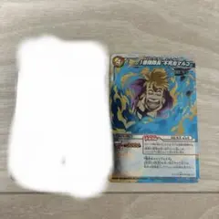 ミラクルバトルカードダス ミラバト ワンピース カード 白ひげ エース