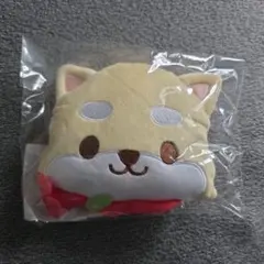 2026年最新】まめちぃ（豆原一成）の人気アイテム - メルカリ