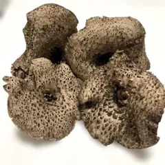 岩手県産 香茸 150g ② - メルカリ