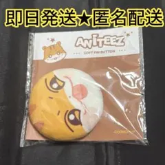 ATEEZ ANITEEZ ポップアップ もちもち 缶バッチ ホンジュン