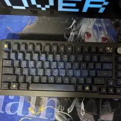 【純正キー変更可】DrunkDeer A75 Pro【即購入OK】