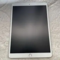 ザ*カ様 iPad Pro 初代　10.5インチ