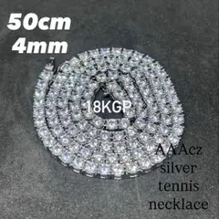 Item thumbnail for item b42e0196-1ec7-4f48-8b6b-2670c2bdee06