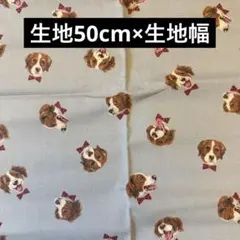 Item thumbnail for item 15bce661-fd1c-418c-9d17-87deb1dadbc4