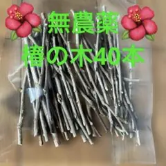 Item thumbnail for item 8ab3260d-04a8-4d91-8491-d329212f8fd0