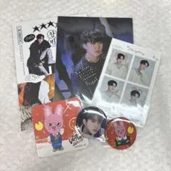Stray Kids チャンビン グッズ 묶음 판매