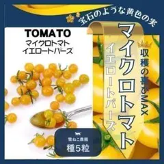 希少◇極小マイクロトマト1苗◇黄色 - メルカリ