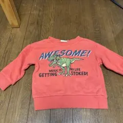 恐竜デザイン トレーナー2点セット