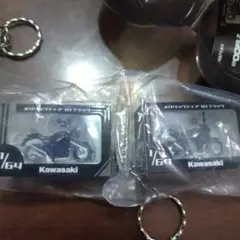 Item thumbnail for item a66d662f-6edb-412c-bc83-429c7d6c9076