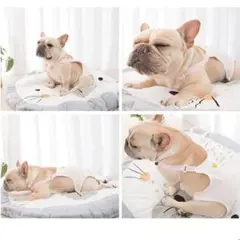 Item thumbnail for item 6be8077b-b437-4bd2-99c8-af488a0508c9