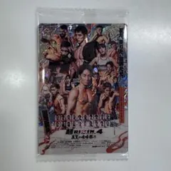 超RIZIN.4 真夏の喧嘩祭り シークレット