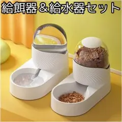 Item thumbnail for item 9ff231e5-0304-4018-bd36-dab040cd4271