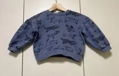 Item thumbnail for item dca86e29-ea0a-455f-95c9-bc00a2fcd833