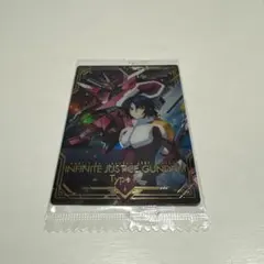 デスティニーガンダム&シン ガンダムウォー ネグザ ace - メルカリ