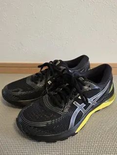 asics(アシックス)　GEL-NIMBUS(ゲルニンバス)21　26.0㎝