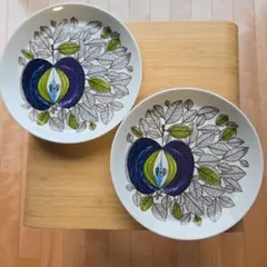 未使用◆ロールストランドフォーカス プレート&スープ皿6枚① 未使用◇ロールストランドフォーカス プレート&スープ皿6枚①