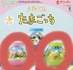 たまごっち　カプセリウム　2個セット