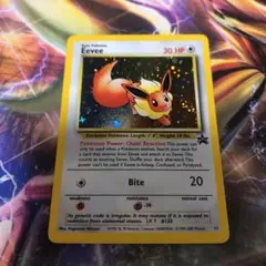 ポケモンカード イーブイ　れんさしんか　海外版 2025年最新】れんさしんかイーブイの人気アイテム - メルカリ