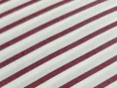 Item thumbnail for item b516b4ff-fc3c-4465-b301-9f3ff9437f6e