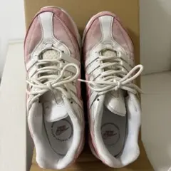 ナイキ エアマックスVGR CT1730-107 25.0cm