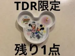 ディズニーランド　限定　スーベニアプレート　クリスマス　ファンタジー　2010