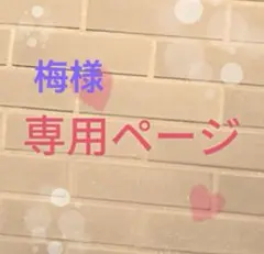 梅様専用ページのサムネイル