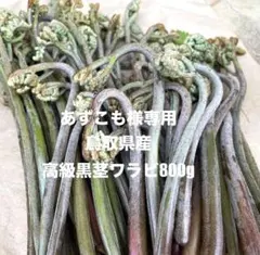 あずこも様専用♡鳥取県産黒茎ワラビ♡高級品質ワラビ800g