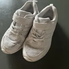 Item thumbnail for item ccc4bfef-dee6-4048-8eff-3bfaa6fa5df5