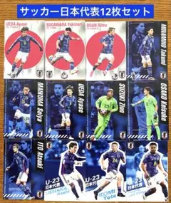 カルビーサッカー日本代表チップス2024 12枚セット